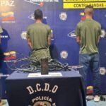 Proyecto-nuevo-69-2