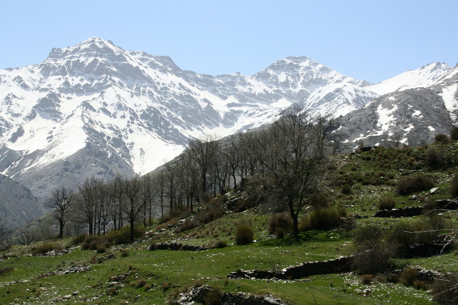 Parque_nacional_de_Sierra_Nevada_50
